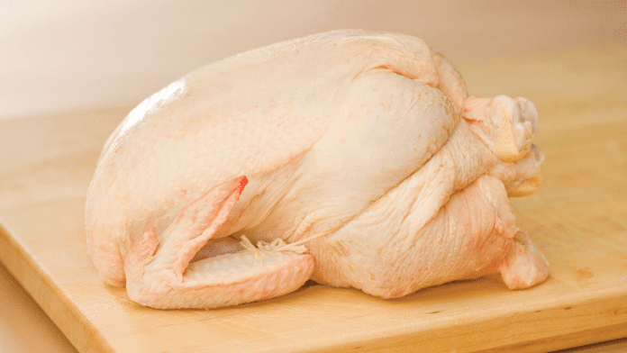 organic chicken organic chicken