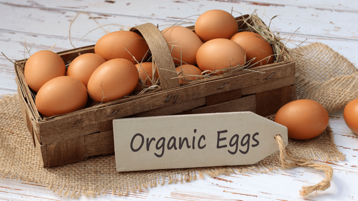 Organic eggs