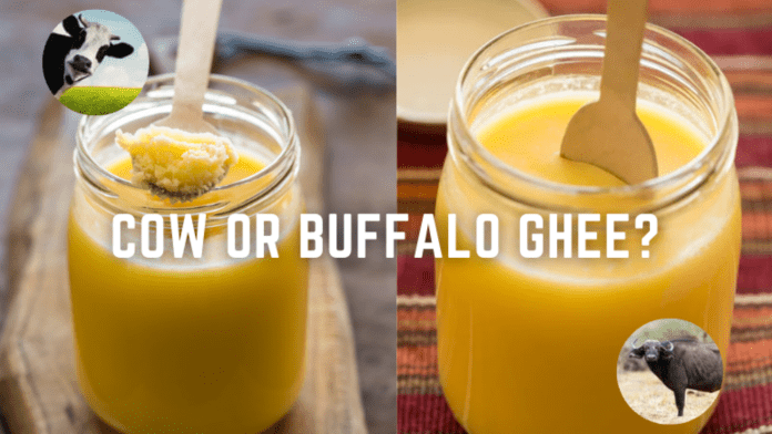 Cow Ghee vs Buffalo Ghee