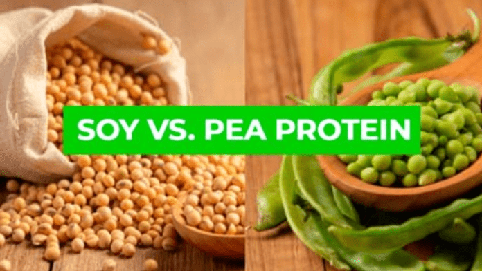 Pea vs soy protein Pea vs soy protein