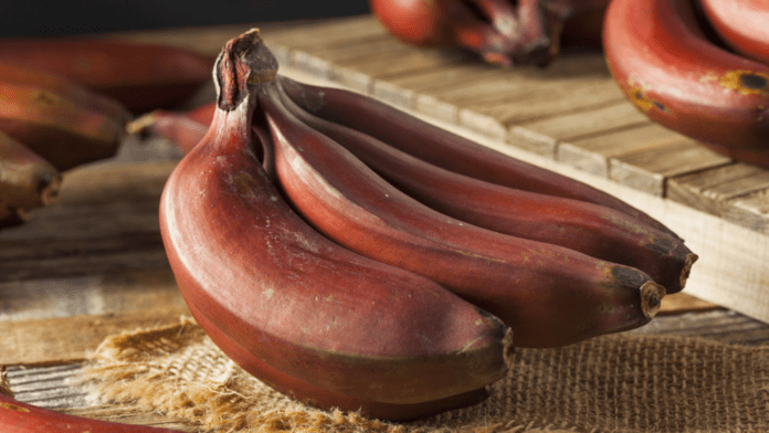 Red Bananas
