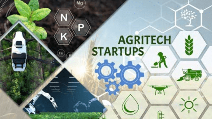 Agrifood startup