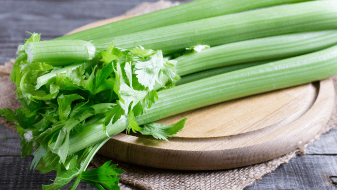 celery celery
