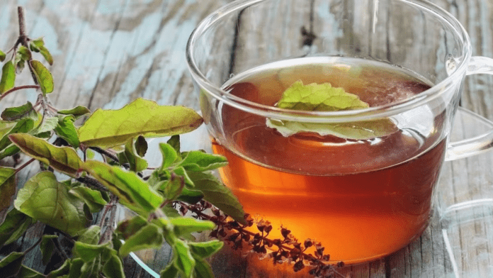 tulsi tea