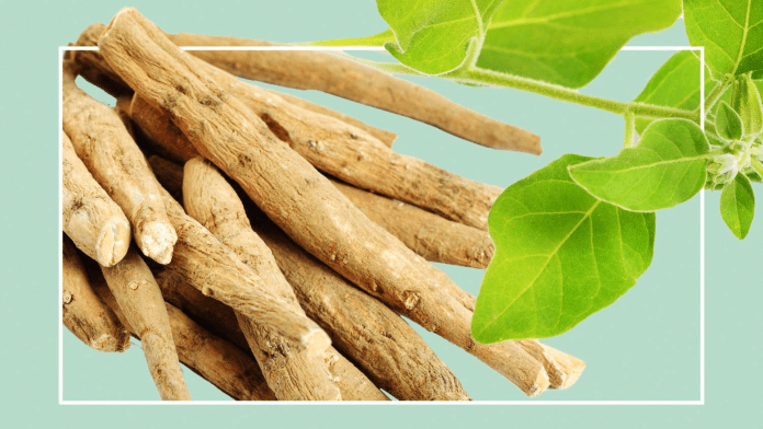 Ashwagandha Ashwagandha