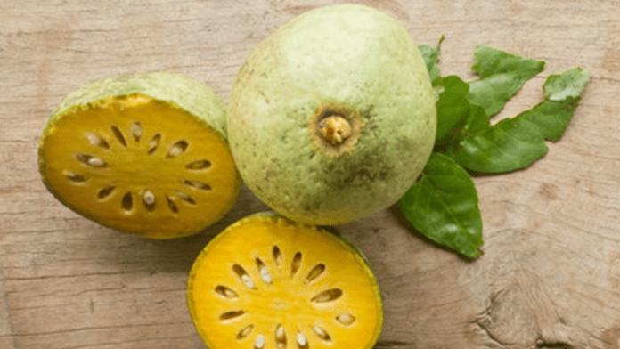bael fruit