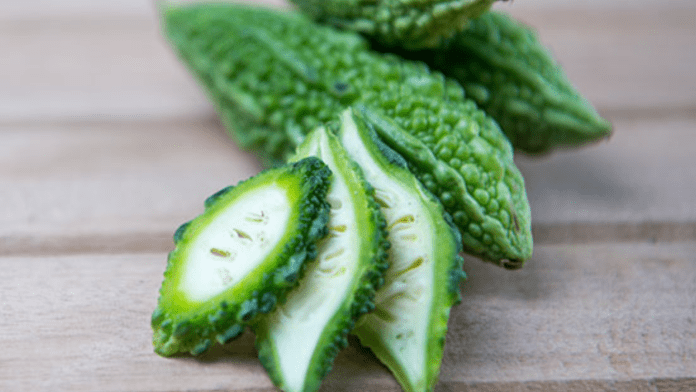 Bitter Gourd Bitter Gourd