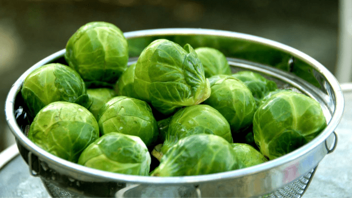 Brussels Sprouts