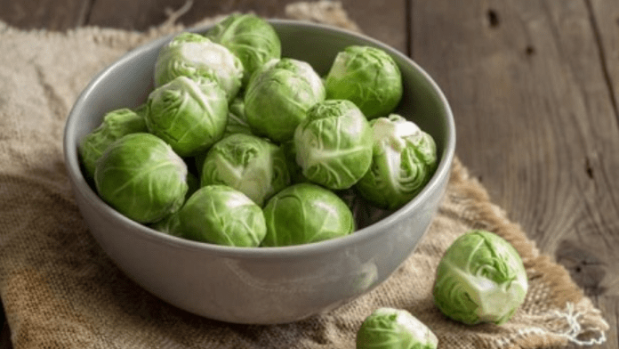 Brussels Sprouts Brussels Sprouts