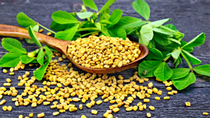 Fenugreek Fenugreek