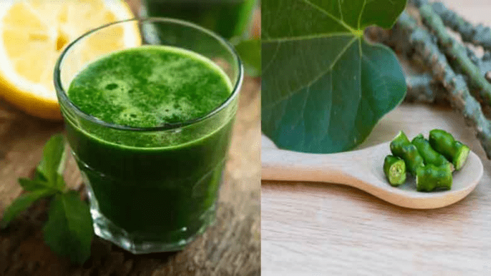 Giloy Juice Giloy Juice