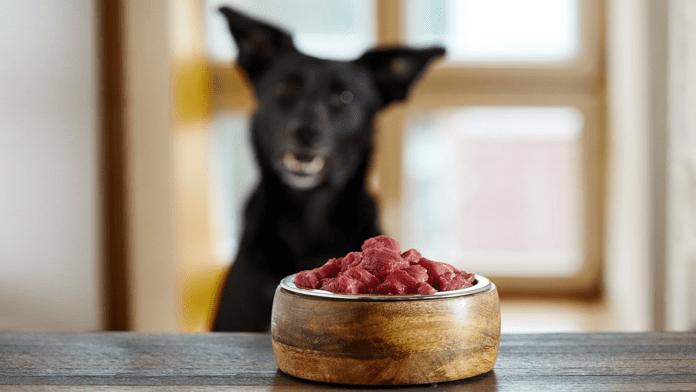 Raw or Undercooked Meat dog Raw or Undercooked Meat dog