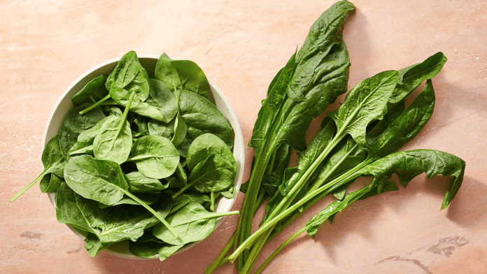 Spinach Spinach