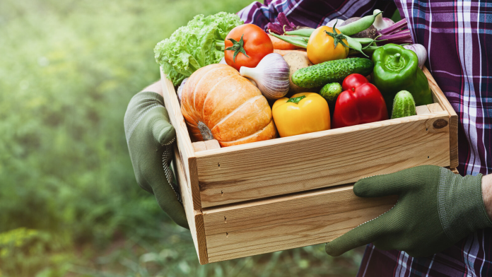 food labor food labor