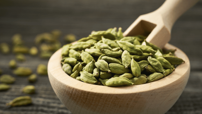 Cardamom