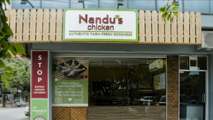 Nandus Nandus