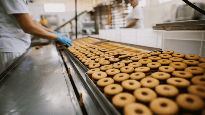 food manufacturing food manufacturing