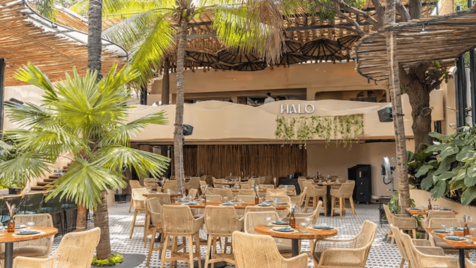 Halo Cocktail Bar & Kitchen Halo Cocktail Bar & Kitchen