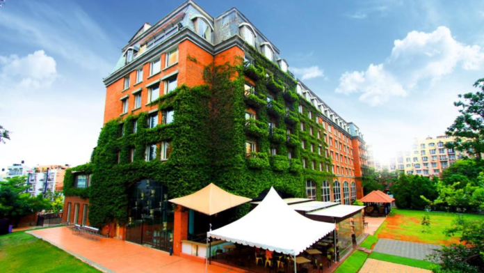 Royal Orchid Royal Orchid