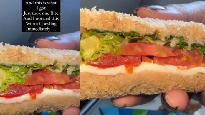 Indigo - worm Indigo - worm