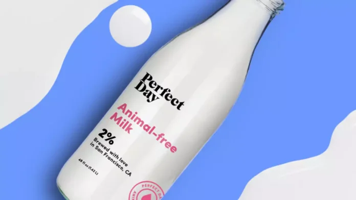 Perfect Day Perfect Day