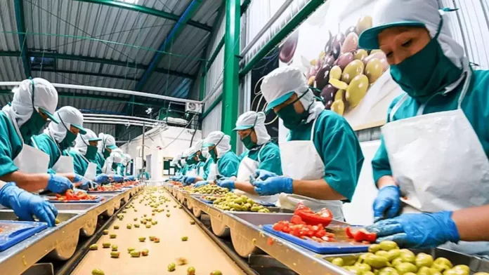 Food Processing Food Processing