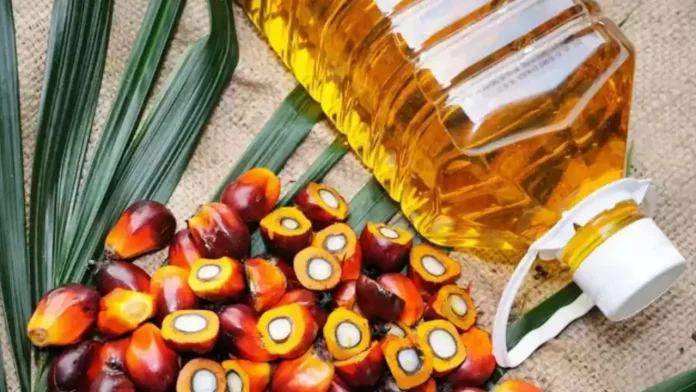 palm oil palm oil