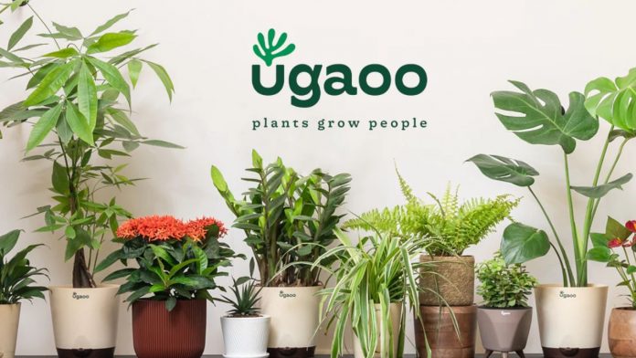 Gardening startup Ugaoo secures INR 47 Cr in Series A funding, eyes expansion image of ugaoo