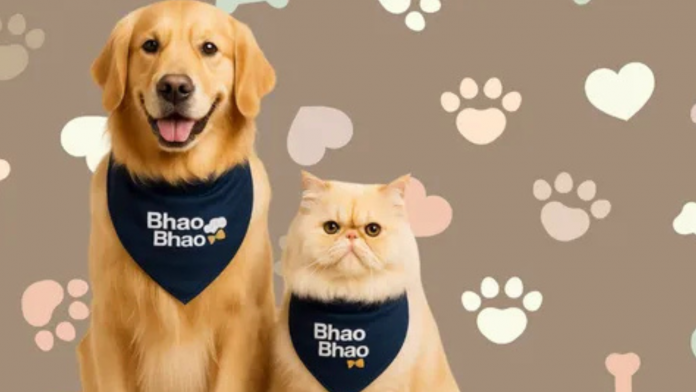 BhaoBhao Secures $200K to Take Premium Pet Grooming Beyond Mumbai, Eyes Slice of India’s $3.5B Market Image of bhao bhao.